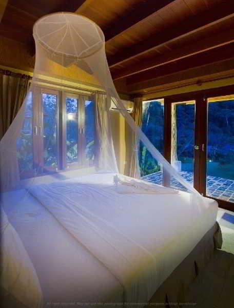 Cliff And River Jungle Surat Thani Exterior photo
